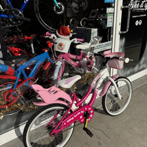20 inch Coppi girls