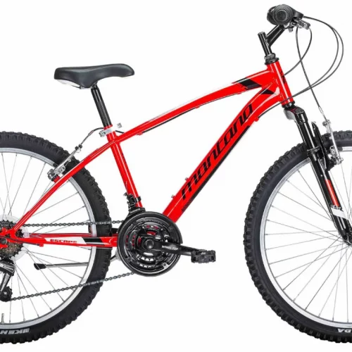 Montana escape 24 inch MTB