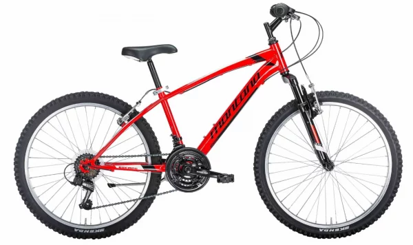 Montana escape 24 inch MTB