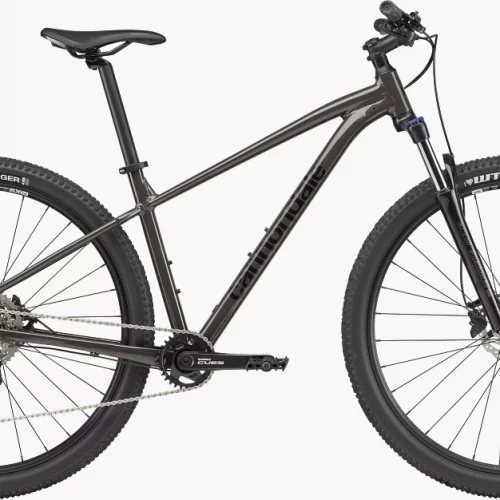 Cannondale trail 6